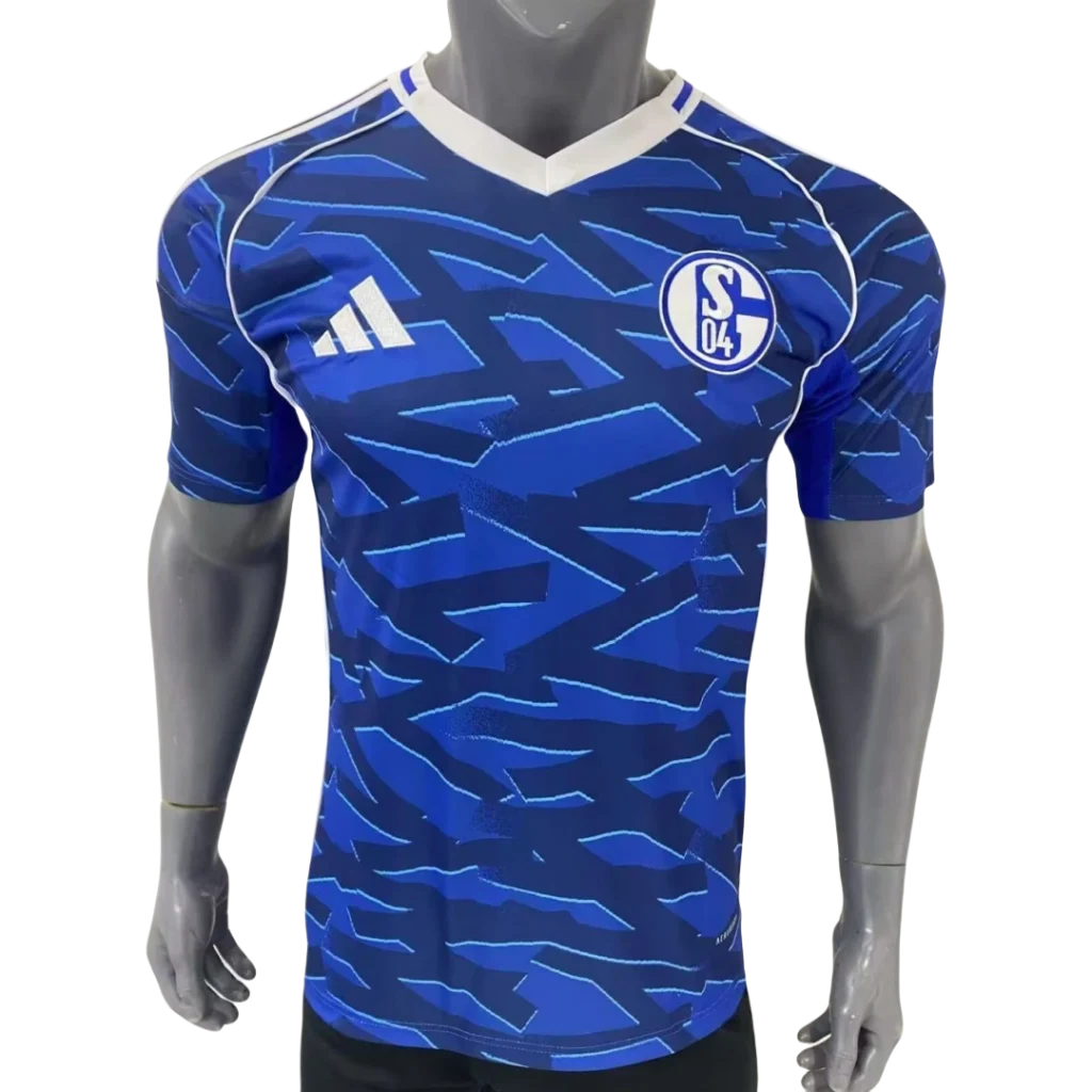 Schalke 04 1